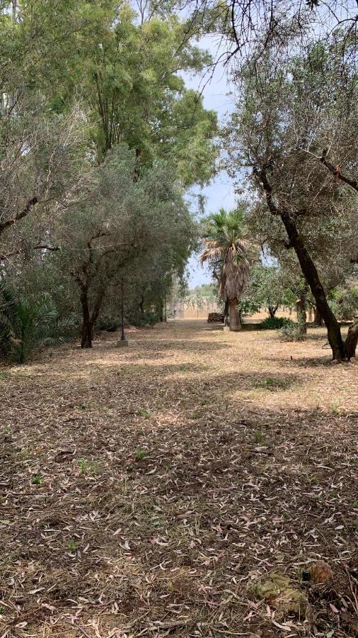 Tenuta Sidore Cursi Exteriér fotografie